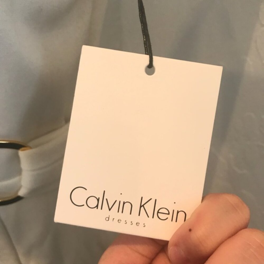 Calvin Klein V Neck Ivory color dress NWT - Picture 9 of 9